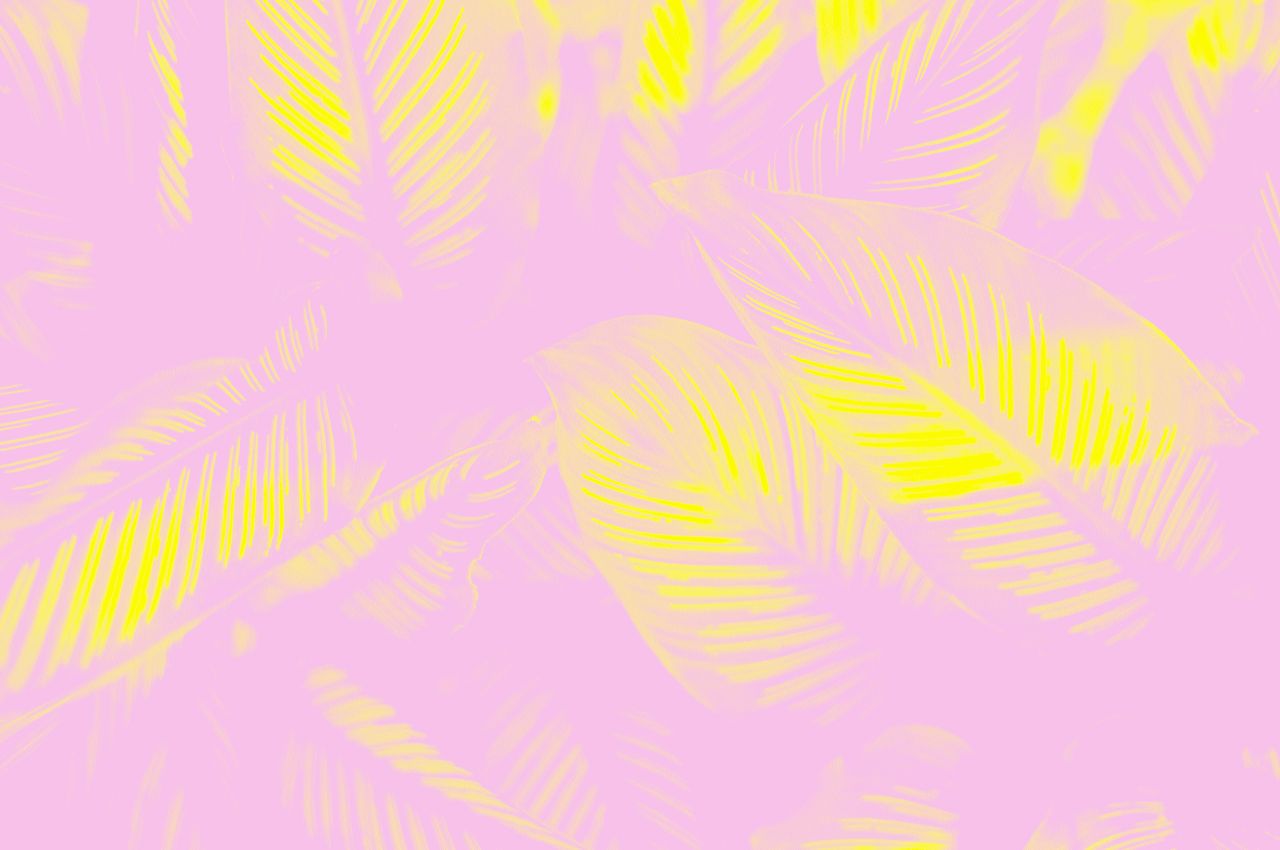 Blätter in gelber und rosa Farbe